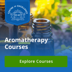 centre of excellence aromatherapy course
